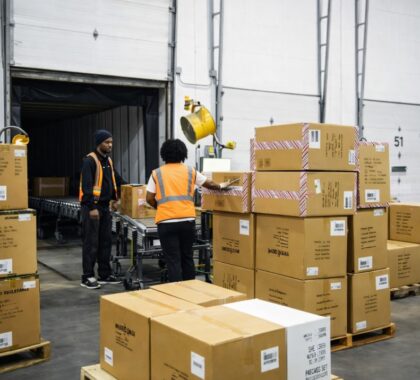 Coil nails warehouse